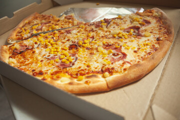 Large pizza delivered in an open box