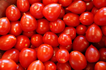 lots of small tomatoes with water droplets. 