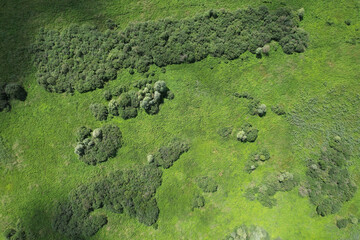 a beautiful view from above on the water meadow of the Belarusian woodland.