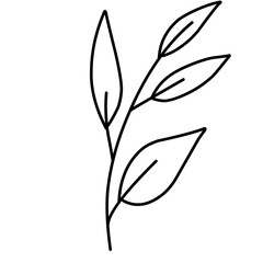 Plant lineart
