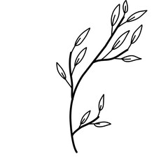 Plant lineart