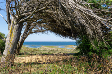 balise d'antioche,balise,phare,pertuis d'antioche,chassiron,île d'oléron, oléron,...