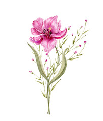 bouquet of pink flowers and plants, watercolor illustration isolated on white background.