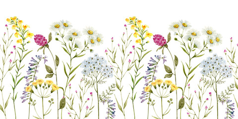 seamless border of wild flowers and plants on a white background, watercolor illustration.