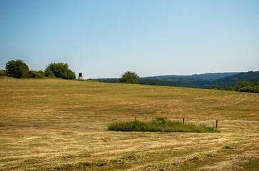 Obraz premium agriculture landscape