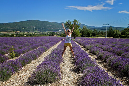 Blonde woman, girl, having fun in a lavender fields in Provence, France. Medicinal plants in full bloom, blossom.  Far away are little hills. Joyful holiday, vacation photo