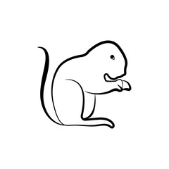 illustration line art squirrel logo concept.