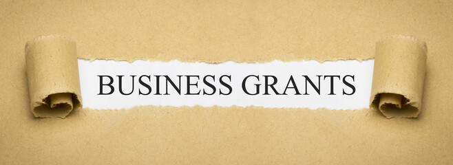 Business Grants