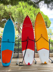 colored dosui for surf swimming summer sea