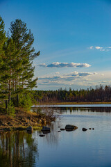 Fototapeta premium reflection of trees in the lake
