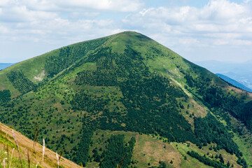 Peak Stoh - one of the highest and most characteristic peaks in Krivanska Mala Fatra. - 519143031