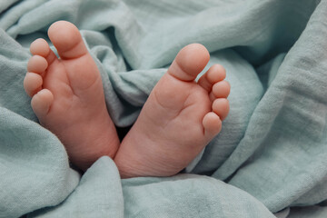 Baby's feet in close-up with empty space for text, copy space, on background of a green blanket,...