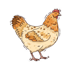 Bright illustration with chiken