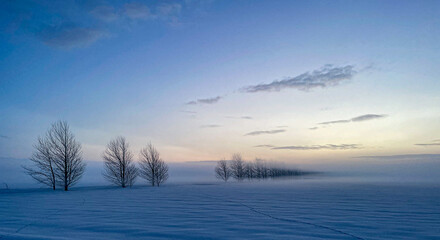 Winter forests and snow fields in the sunrise