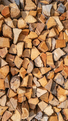 Big pile wall of pine tree firewood stocked at the forest border after logging as a background, details, closeup.