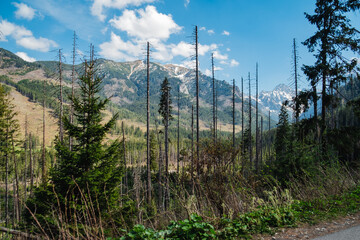 View of the Tatras Mountains