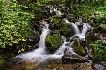 small waterfall in the forest, beech-fir forest of Suberlenc, lys valley, Pyrenean mountain range, France