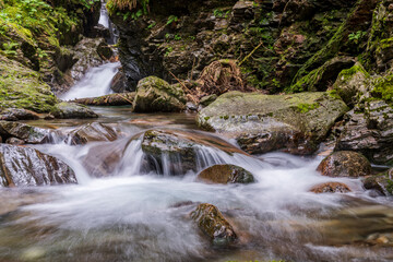 beech-fir forest of Suberlenc, lys valley, Pyrenean mountain range, France