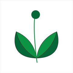leaf with seed icon design web