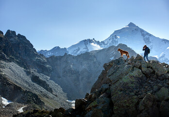 Fototapeta na wymiar girl photographs dogs in the mountains. pet photographer in nature