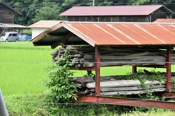 Obraz na płótnie Canvas 日本の田舎、原風景、夏、美山、かやぶき、美山かやぶきの里、水田、稲作、小屋