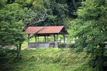 日本の田舎、原風景、夏、美山、かやぶき、美山かやぶきの里、水田、稲作、小屋