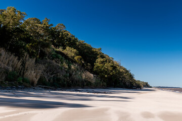 Trees and vegetation on the ravines near the beach in Kiyu, San Jose, Uruguay