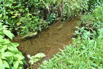 日本の田舎、原風景、夏、美山、かやぶき、美山かやぶきの里、小川