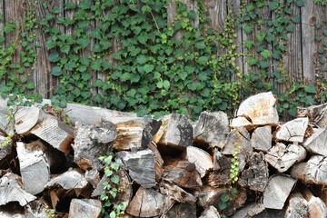 Obraz premium 日本の田舎、原風景、夏、美山、かやぶき、美山かやぶきの里、田んぼ、稲、水田、木材加工、家屋、古民家、屋敷、倉庫