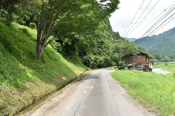 日本の田舎、原風景、夏、美山、かやぶき、美山かやぶきの里、田んぼ、稲、水田、木材加工、家屋、古民家、屋敷、倉庫、トラクター