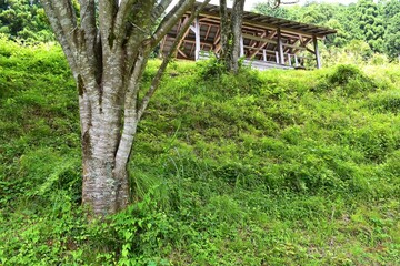 日本の田舎、原風景、夏、美山、かやぶき、美山かやぶきの里、田んぼ、稲、水田、木材加工、家屋、古民家、屋敷、倉庫、トラクター