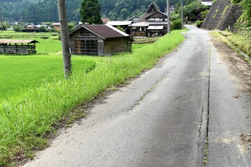 日本の田舎、原風景、夏、美山、かやぶき、美山かやぶきの里、田んぼ、稲、水田、木材加工、家屋、古民家、屋敷、倉庫
