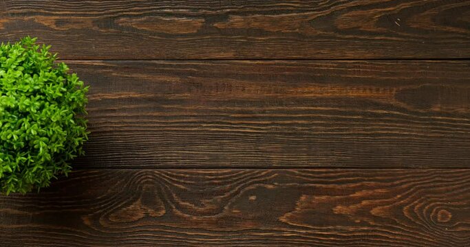 Flatlay with office items and place for text. Layout on a wooden background. Note, pen, a cup of coffee, indoor plant. 4K looped stop motion animation