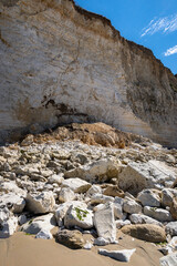 Tas d'éboulis de craie et roches suite à éboulement de falaise sur une plage de Seine-maritime dû à l'érosion