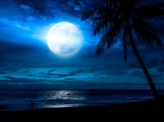 Beach moonlight night landscape