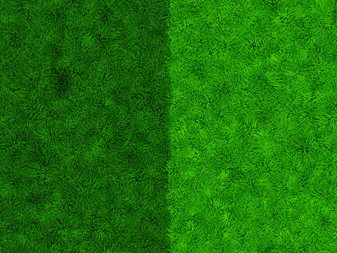 3d football or soccer grass field. close-up 3d two-tone color Grass texture. Empty football pitch from the top view with 2 colors, dark green and light green. 3d rendering illustration.