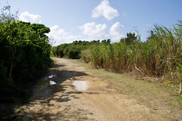 Fototapeta premium Puddled dirt road leading to Shimoji island Monolith