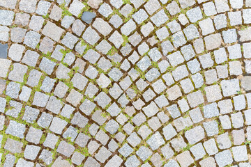 Granite cobblestoned pavement background with weeds. Stone pavement texture. Abstract background of cobblestone pavement.