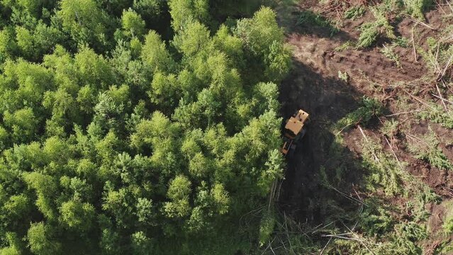 Trees and forests are uprooted and cut down. The tractor is uprooting trees to make the field available for sowing. The tractor breaks trees to free the field.