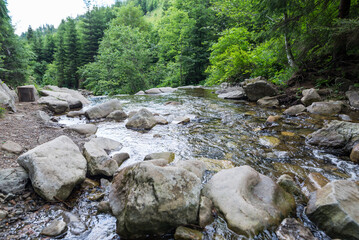 river with big stones in the mountains.