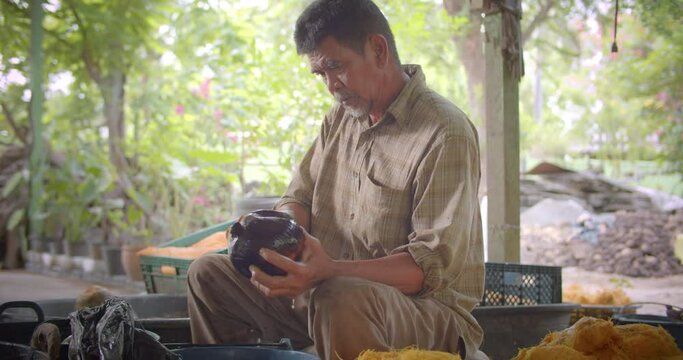 Asian male farmer slow motion scene who is elderly native, tearing the skin of the palmyra palms (lontar, fan palm)to be blended, leaving only the pulp to sell for making toddy palm cake(Kanom Tarn).
