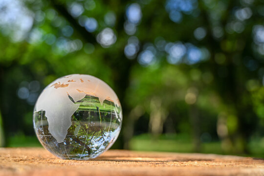 ガラスの地球儀（アフリカ周辺）　SDGs  環境保護などの イメージ　glass globe in the forest
