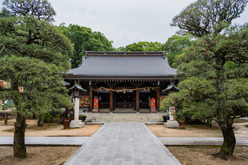 Fototapeta premium 松陰神社
