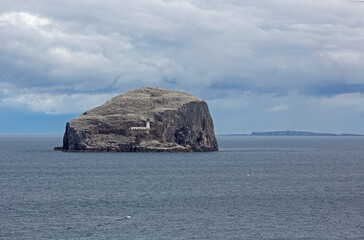 Fototapeta na wymiar The small island of Bass Rock in the Firth of Forth, now a seabird colony for Northern Gannets