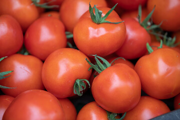 Healthy organic tomatos at a roadside street market