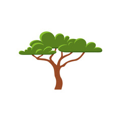 African acacia tree with wide crown flat style, vector illustration