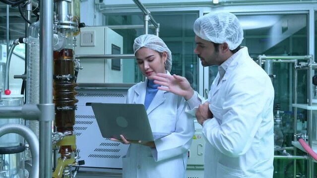 Scientists and assistants are in the machine room extracting oil and cannabis seeds. Inspecting cannabis oil extractor before starting to extract the prepared cannabis