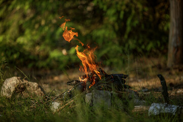 Close up of burning timber bonfire in summer forest..The concept of adventure, travel, tourism, camping, survival and evacuation.