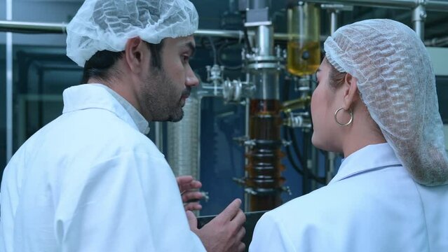 Scientists and assistants are in the machine room extracting oil and cannabis seeds. Inspecting cannabis oil extractor before starting to extract the prepared cannabis