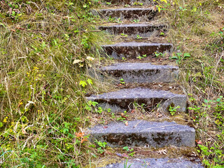 Old overgrown and neglected stone staircase